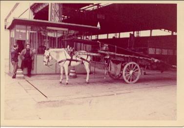 Cheval attelé réceptionnant de l'acier